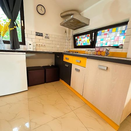 The Vintage - Wonderful Apartment In Best Location Craiova Eksteriør billede