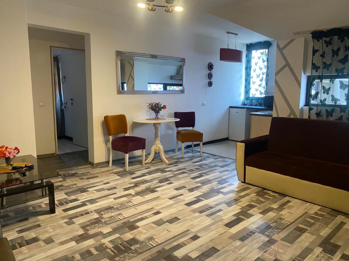 The Vintage - Wonderful Apartment In Best Location Craiova Eksteriør billede