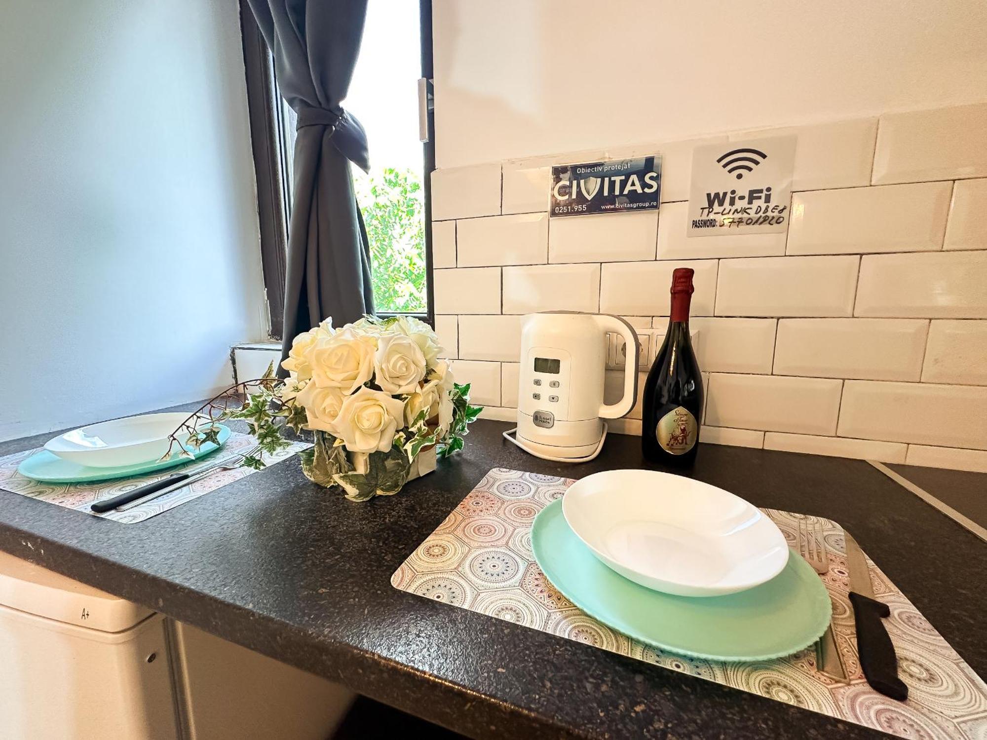 The Vintage - Wonderful Apartment In Best Location Craiova Eksteriør billede