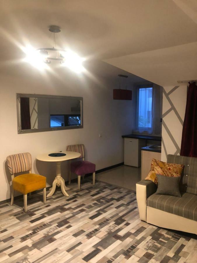 The Vintage - Wonderful Apartment In Best Location Craiova Eksteriør billede